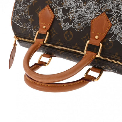 LOUIS VUITTON Speedy 30 Handbag