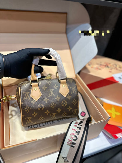 Louis vuitton Speedy 20 handbag