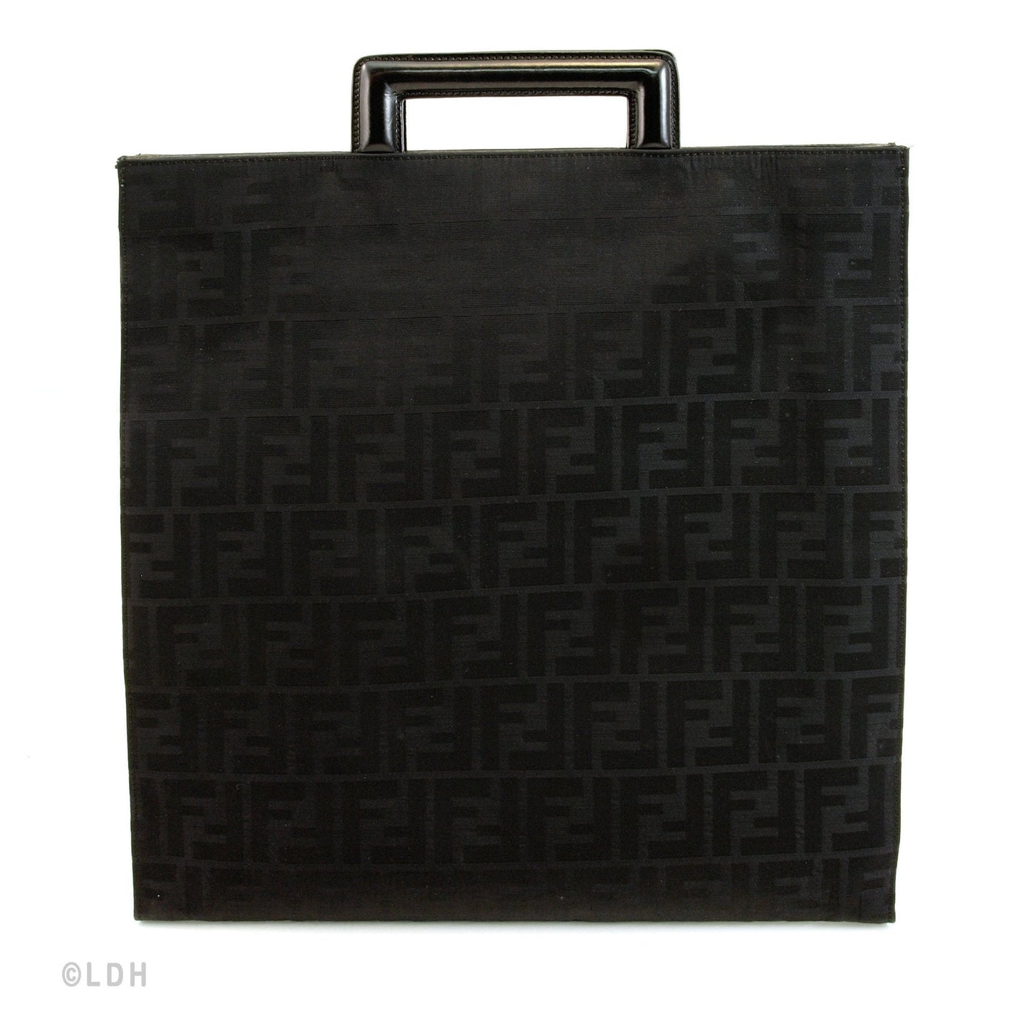 Fendi Tote (Indistinguishable)