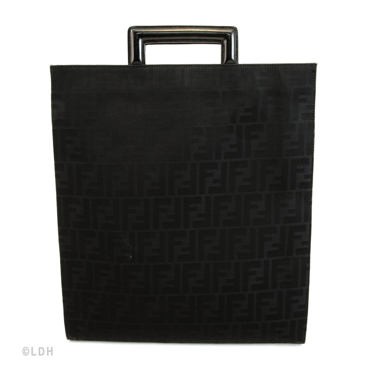 Fendi Tote (Indistinguishable)