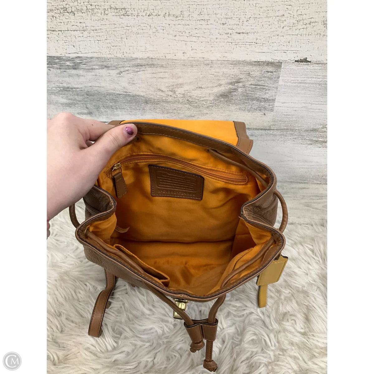 Backpack Designer By Coach, Size: Medium