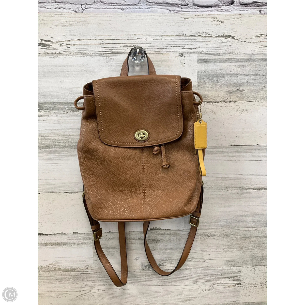 Backpack Designer By Coach, Size: Medium