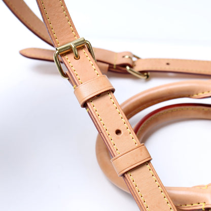 Speedy 25 Bandouliere Monogram