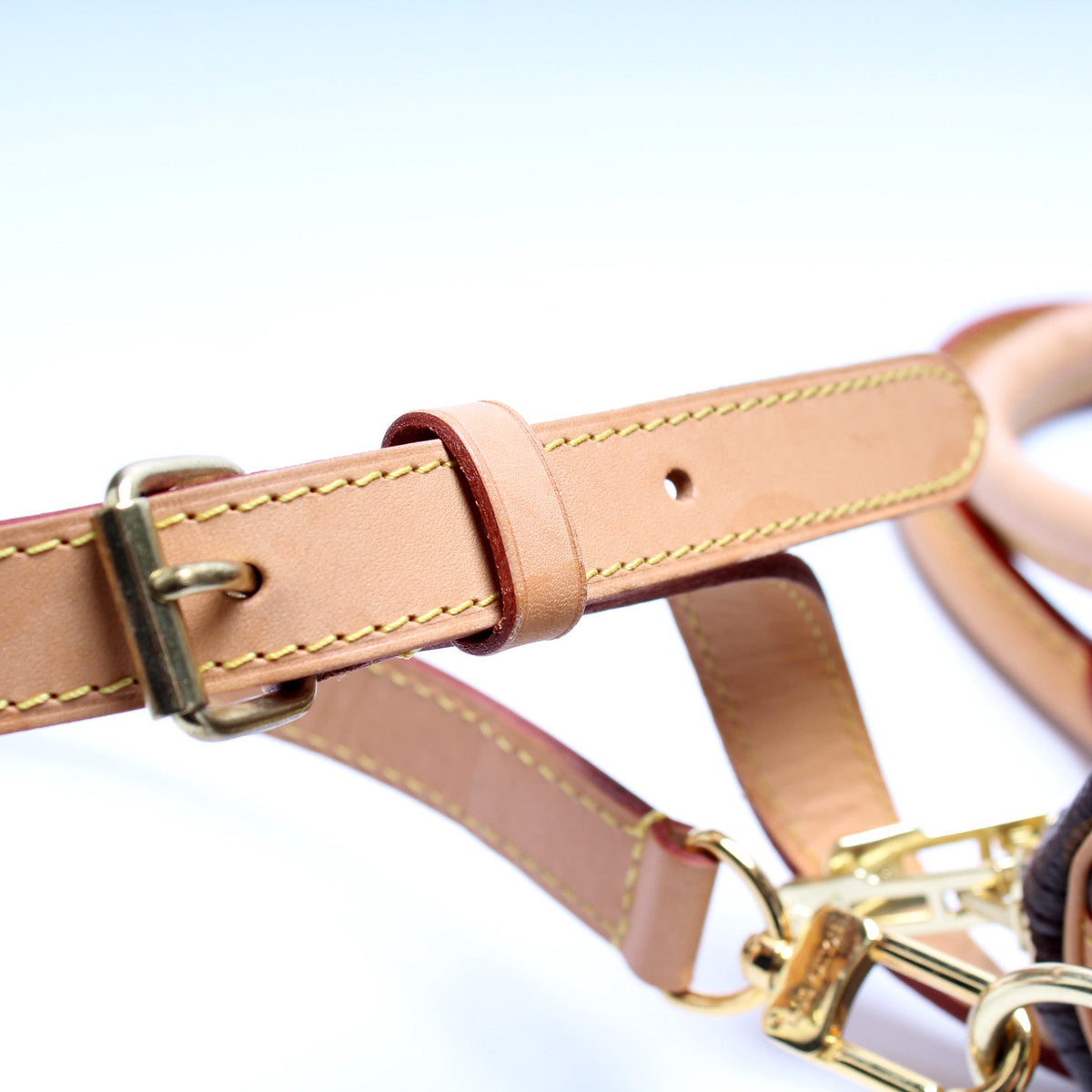 Speedy 30 Bandouliere Monogram