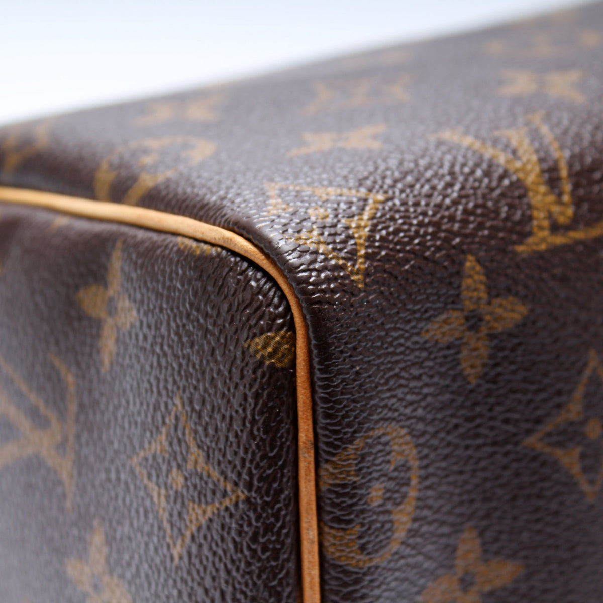 Speedy 25 Monogram
