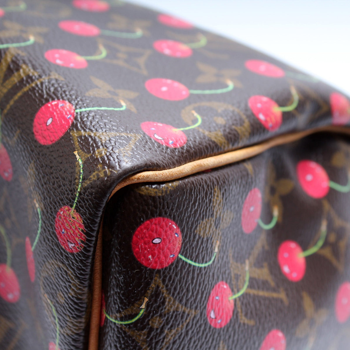 Speedy 25 Cerises Monogram