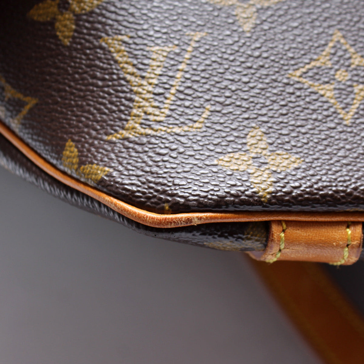 Sac Shopping Monogram