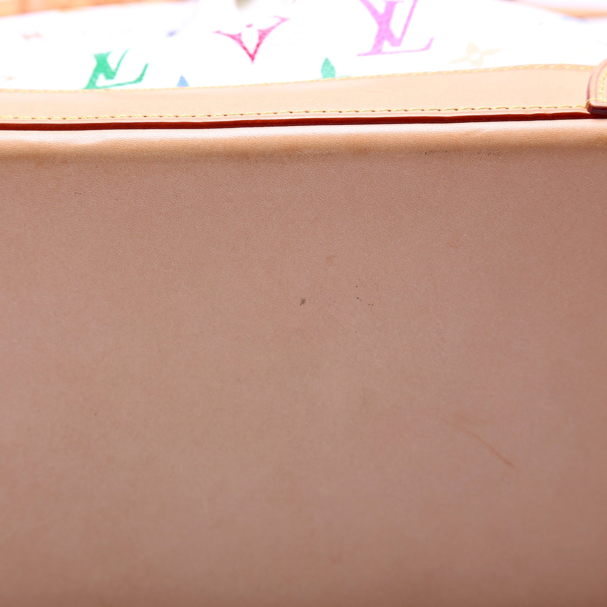 Sharleen MM Multicolor Monogram