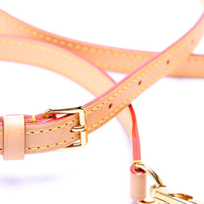 Louis-Vuitton Nano Speedy Monoglam