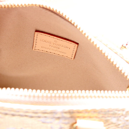 Louis-Vuitton Nano Speedy Monoglam