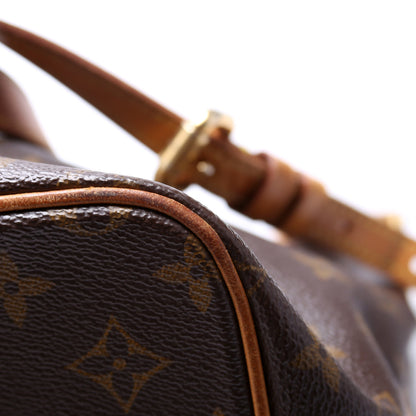 Palermo PM Monogram