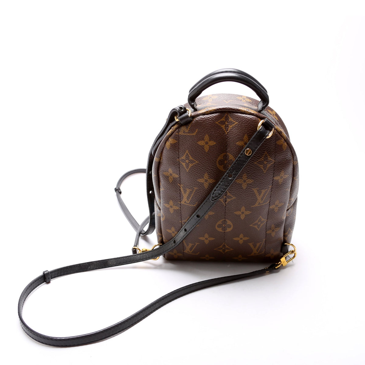 Palm Springs Mini Backpack World Tour Monogram