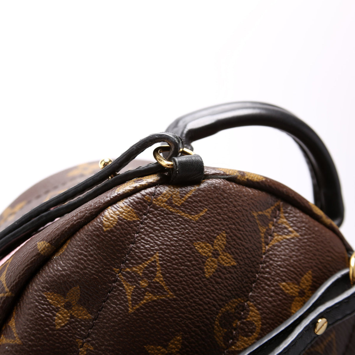 Palm Springs Mini Backpack World Tour Monogram
