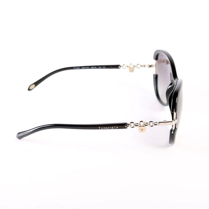 TF4067 Sunglasses