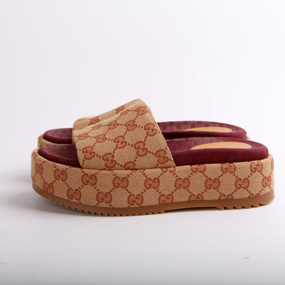GG Canvas Platform Slides Size 36