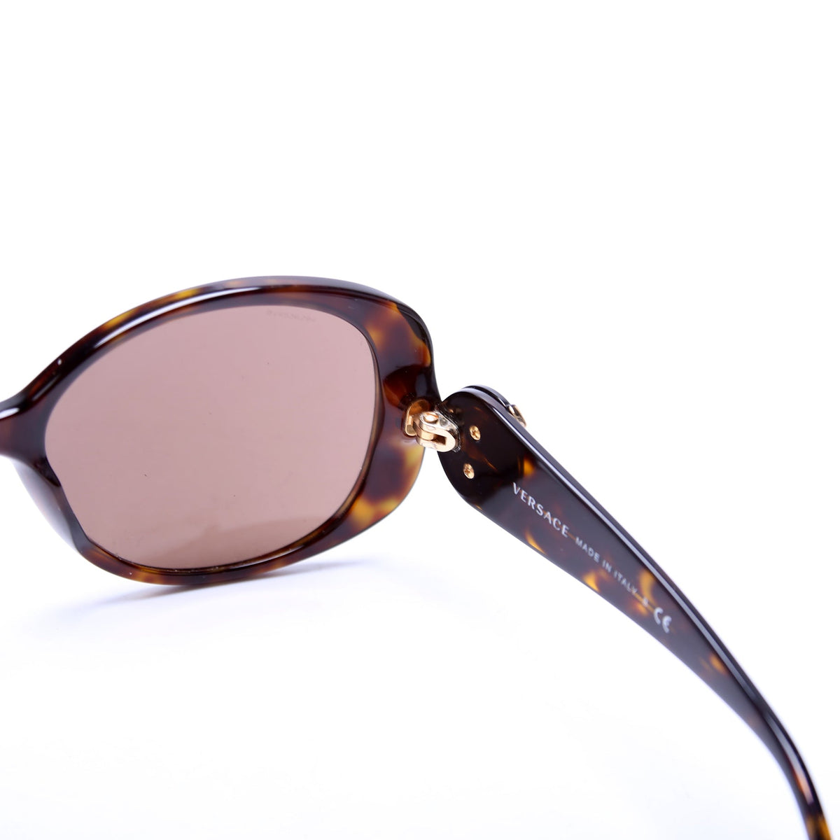 MOD 4221 Medusa Sunglasses Brown