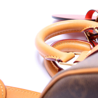 Dust Keepall 25 W/Strap Monogram