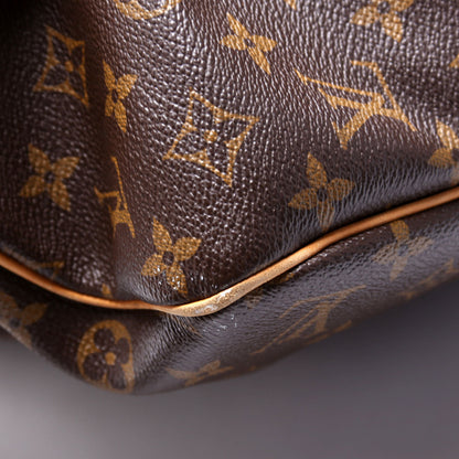 Louis-Vuitton Delightful MM Monogram