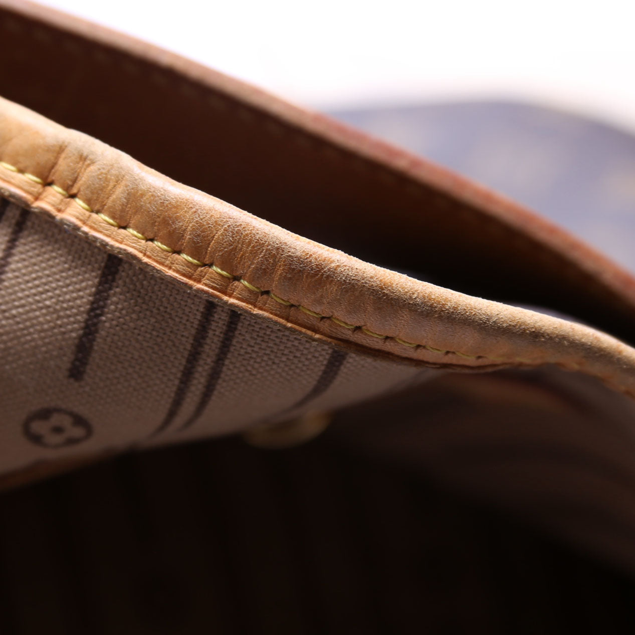 Louis-Vuitton Delightful MM Monogram