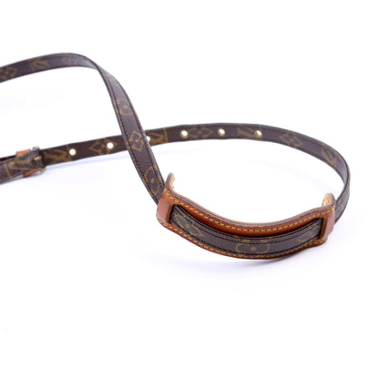 Louis-Vuitton Amazone Monogram Mini