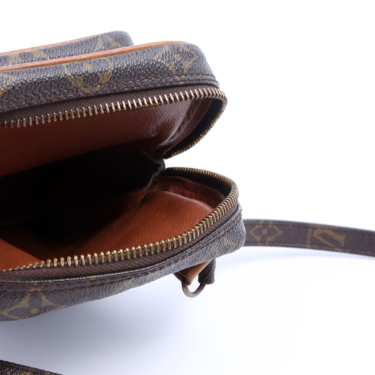 Louis-Vuitton Amazone Monogram Mini