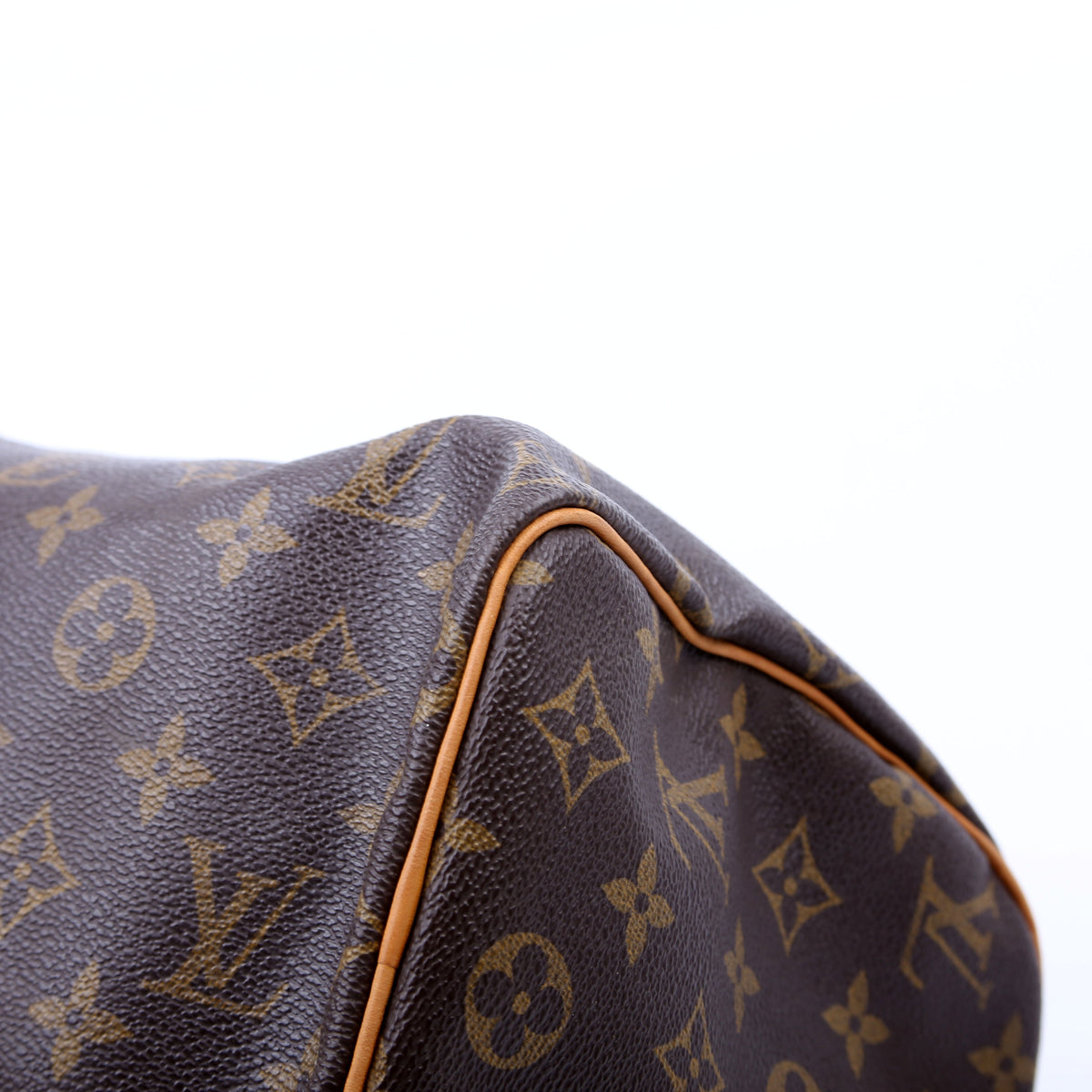 Louis-Vuitton Speedy  Monogram