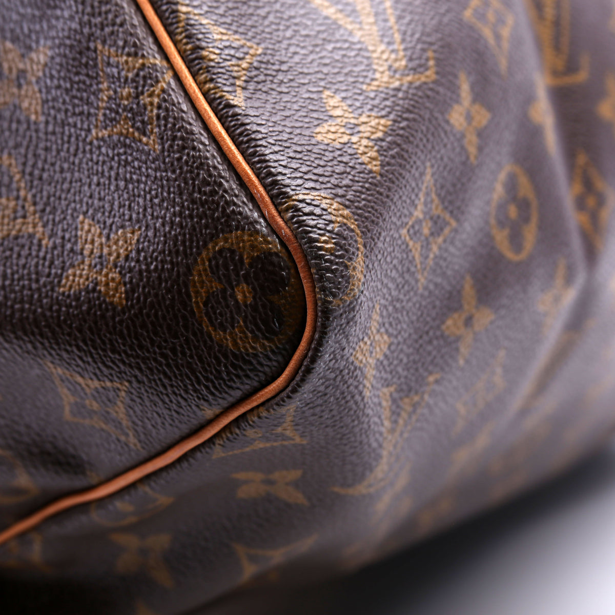 Louis-Vuitton Speedy  Monogram