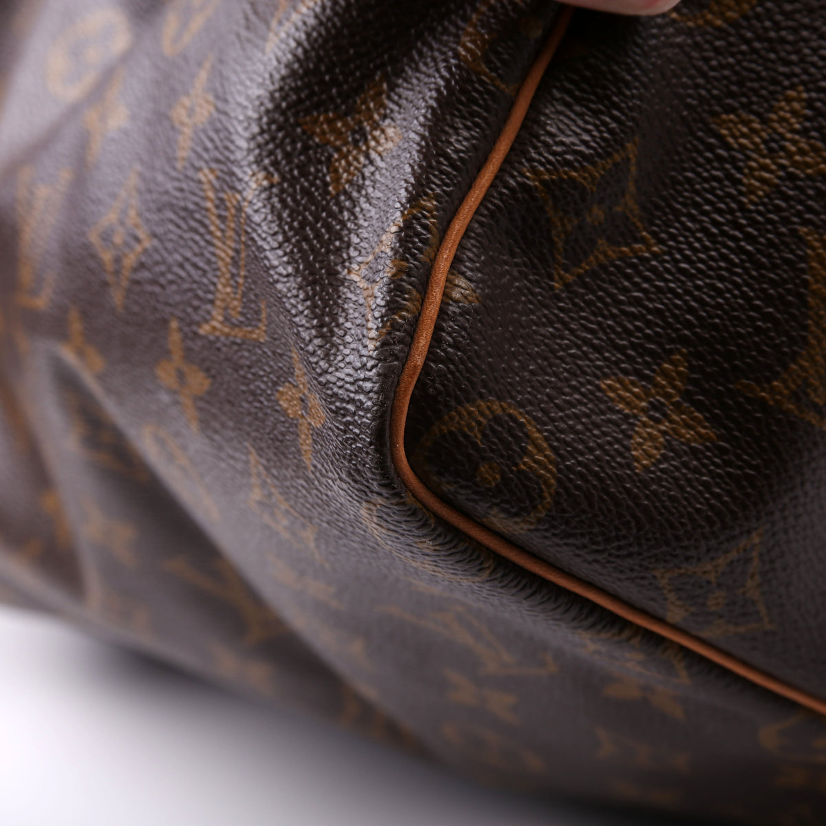 Louis-Vuitton Speedy  Monogram