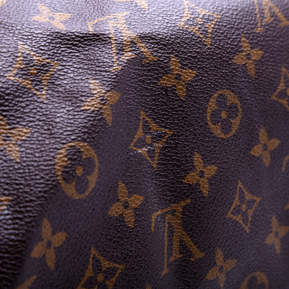 Louis-Vuitton Speedy  Monogram