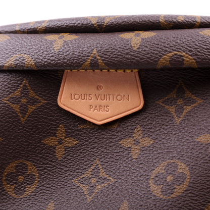 Louis-Vuitton Bumbag Monogram