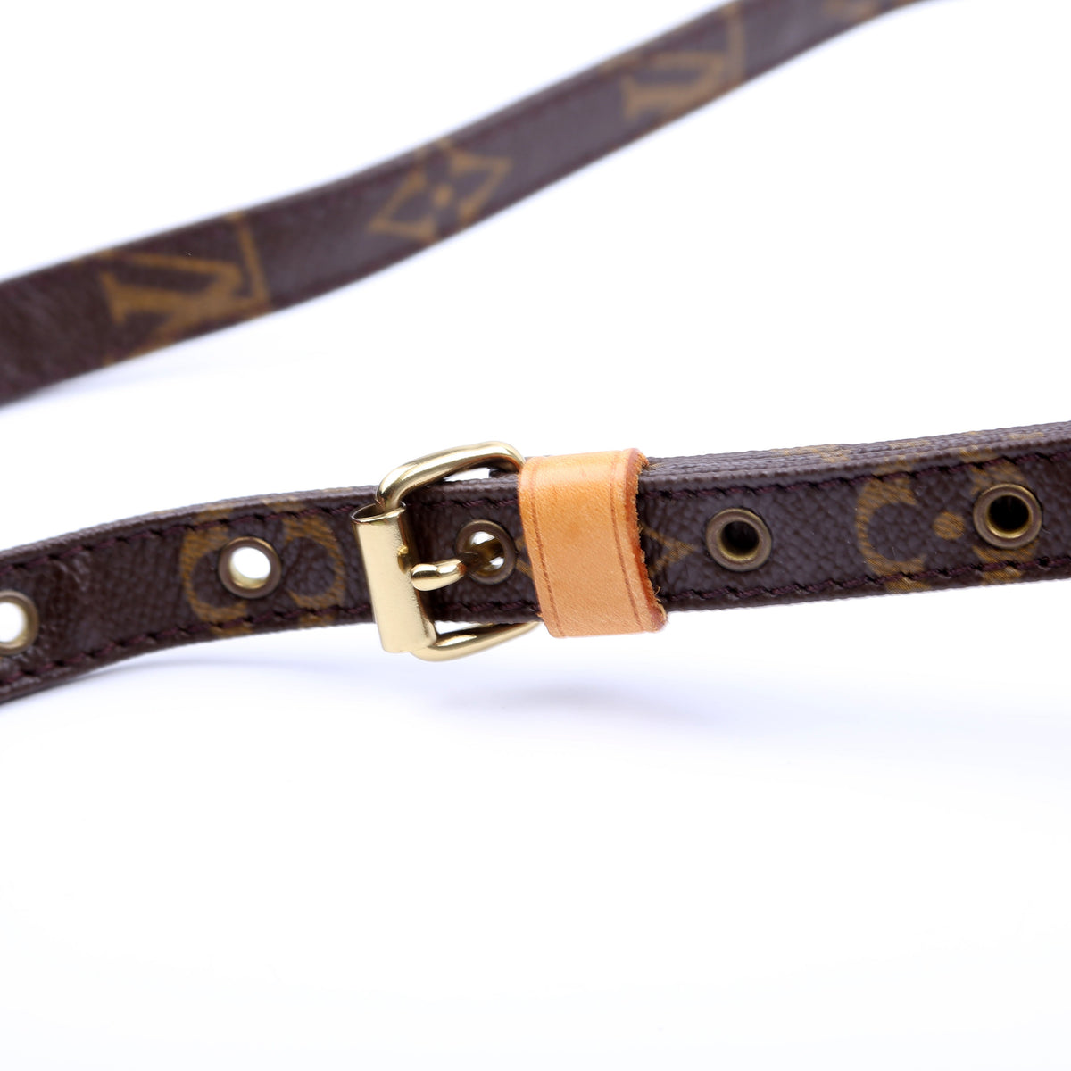 Louis-Vuitton Danube Monogram
