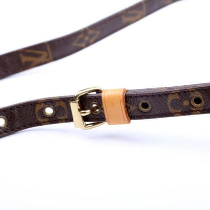 Louis-Vuitton Danube Monogram
