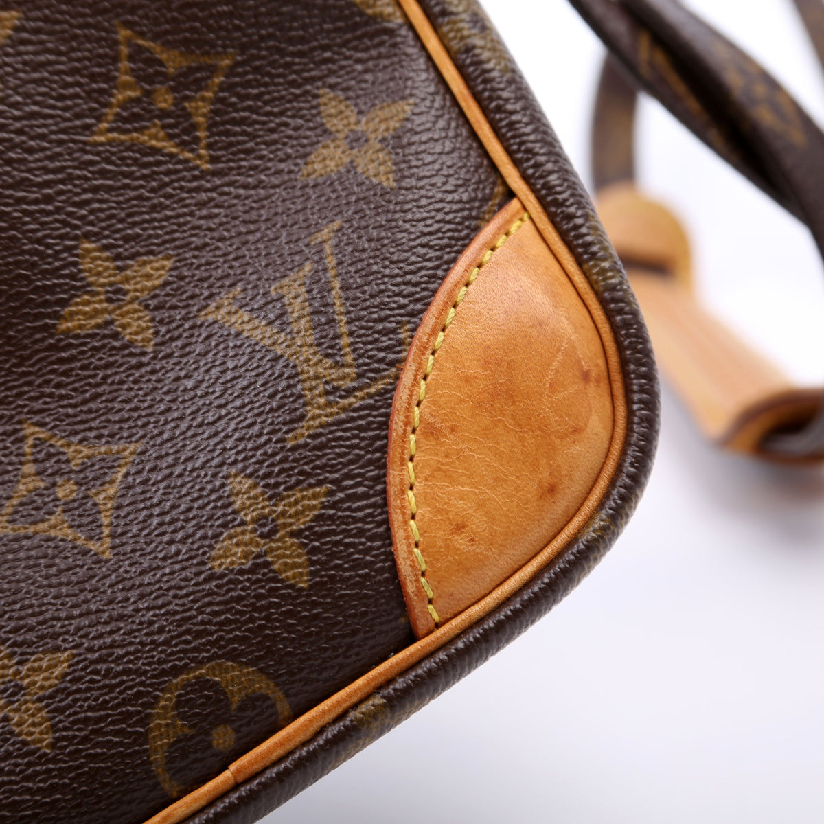 Louis-Vuitton Danube Monogram