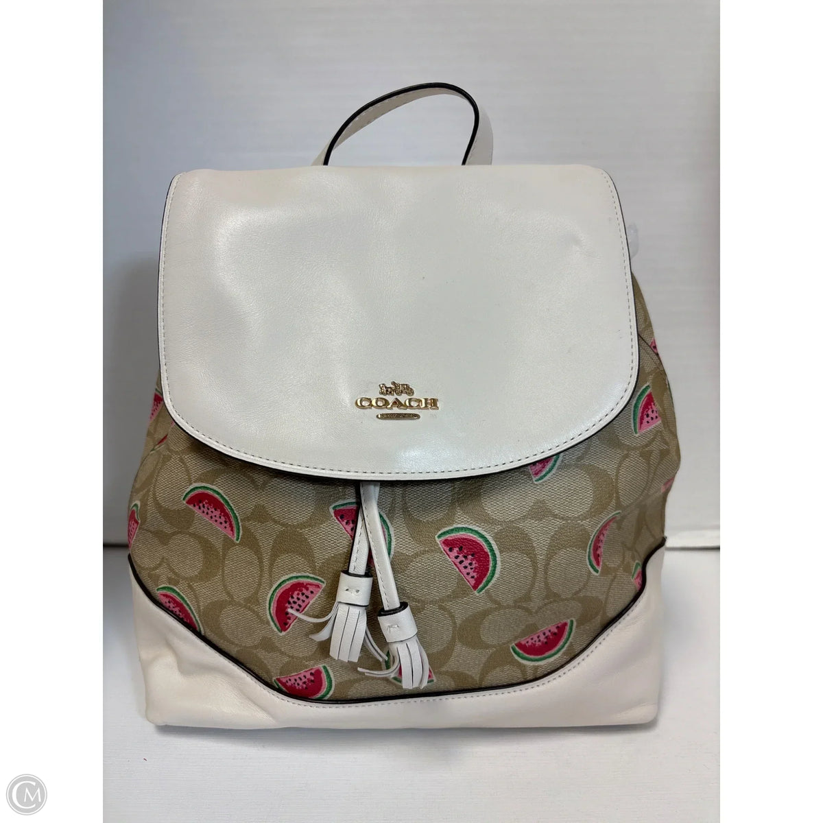 Backpack Designer By Coach, Size: Large
