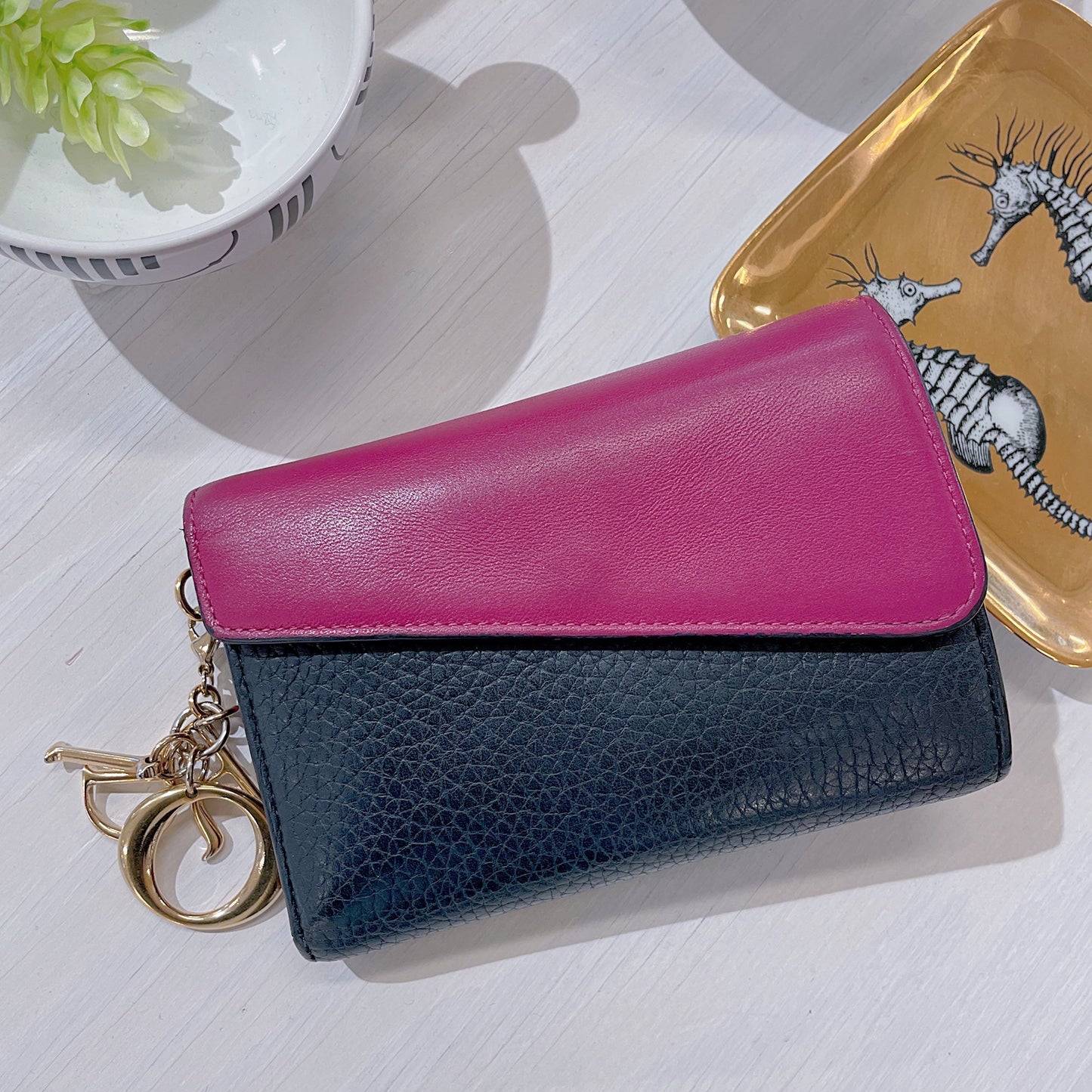 Christian Dior Small Wallet TWS pop