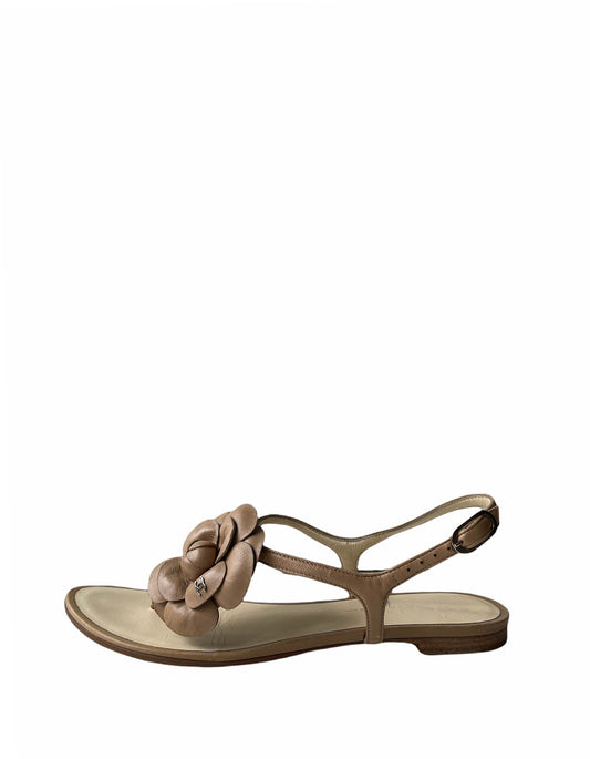 Chanel Beige Leather Camelia CC Thong Sandals sz 35.5