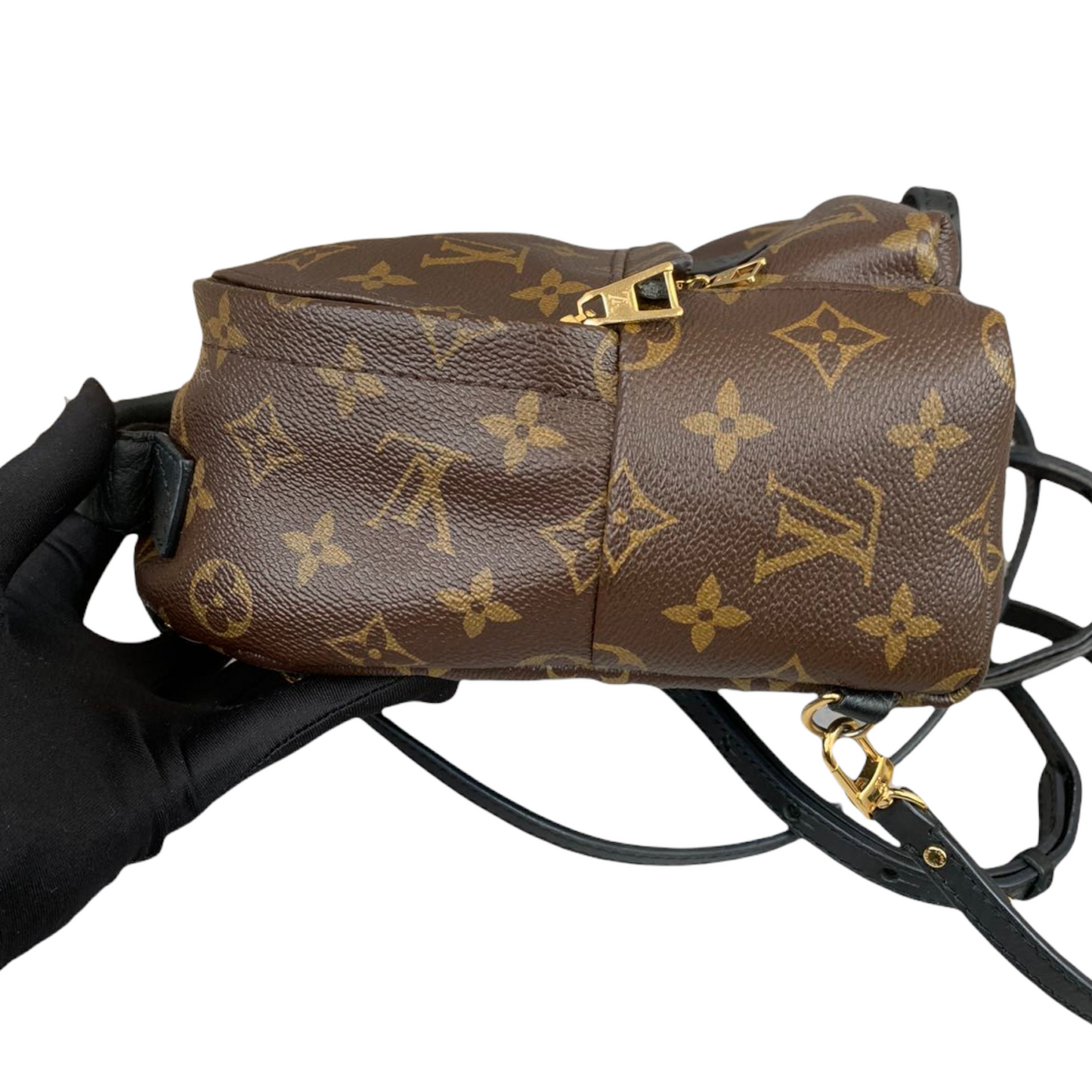 Louis-Vuitton Palm Springs Backpack Mini Monogram Canvas