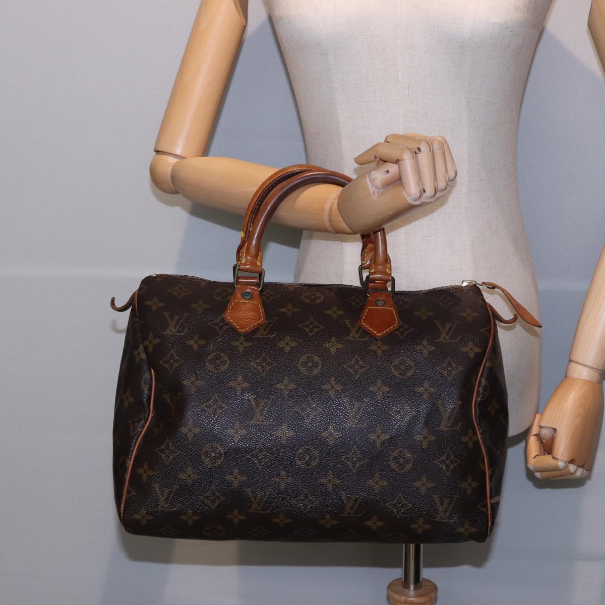 LOUIS VUITTON Speedy 30 Handbag