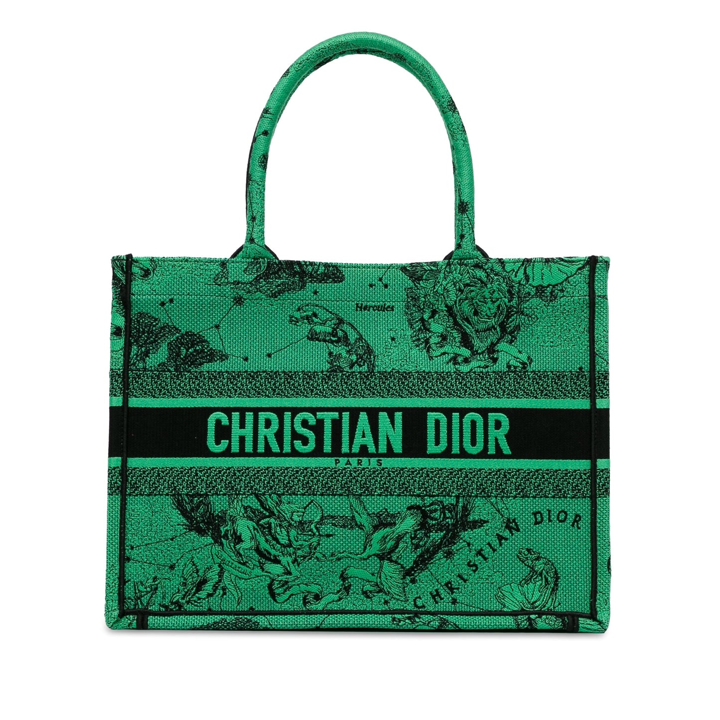 Medium Embroidered Canvas Book Tote