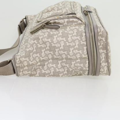 Celine Shoulder Bag