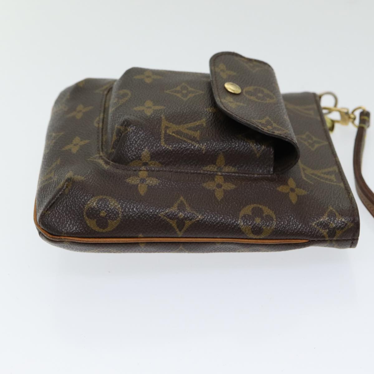 LOUIS VUITTON Partition Clutch Bag