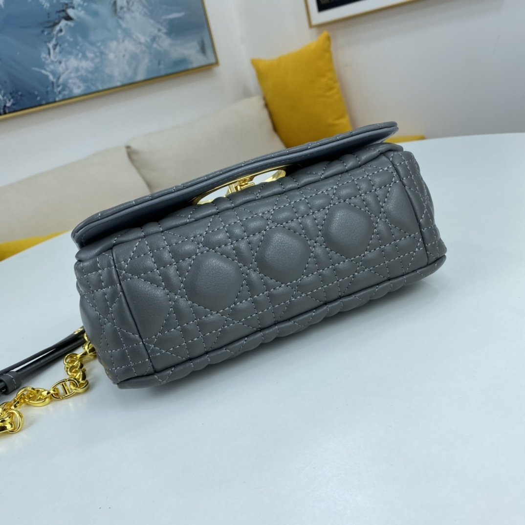 Luxury Edition Bags DIR 071