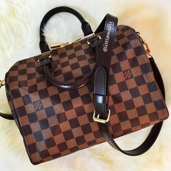 Louis Vuitton Speedy 25 Damier Ebene