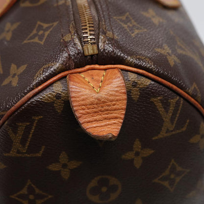 LOUIS VUITTON Speedy 30 Handbag