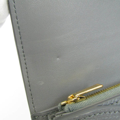 Celine Large Flap Wallet 10B563BEL Women's Calfskin Long Wallet [bi-fold] Gray