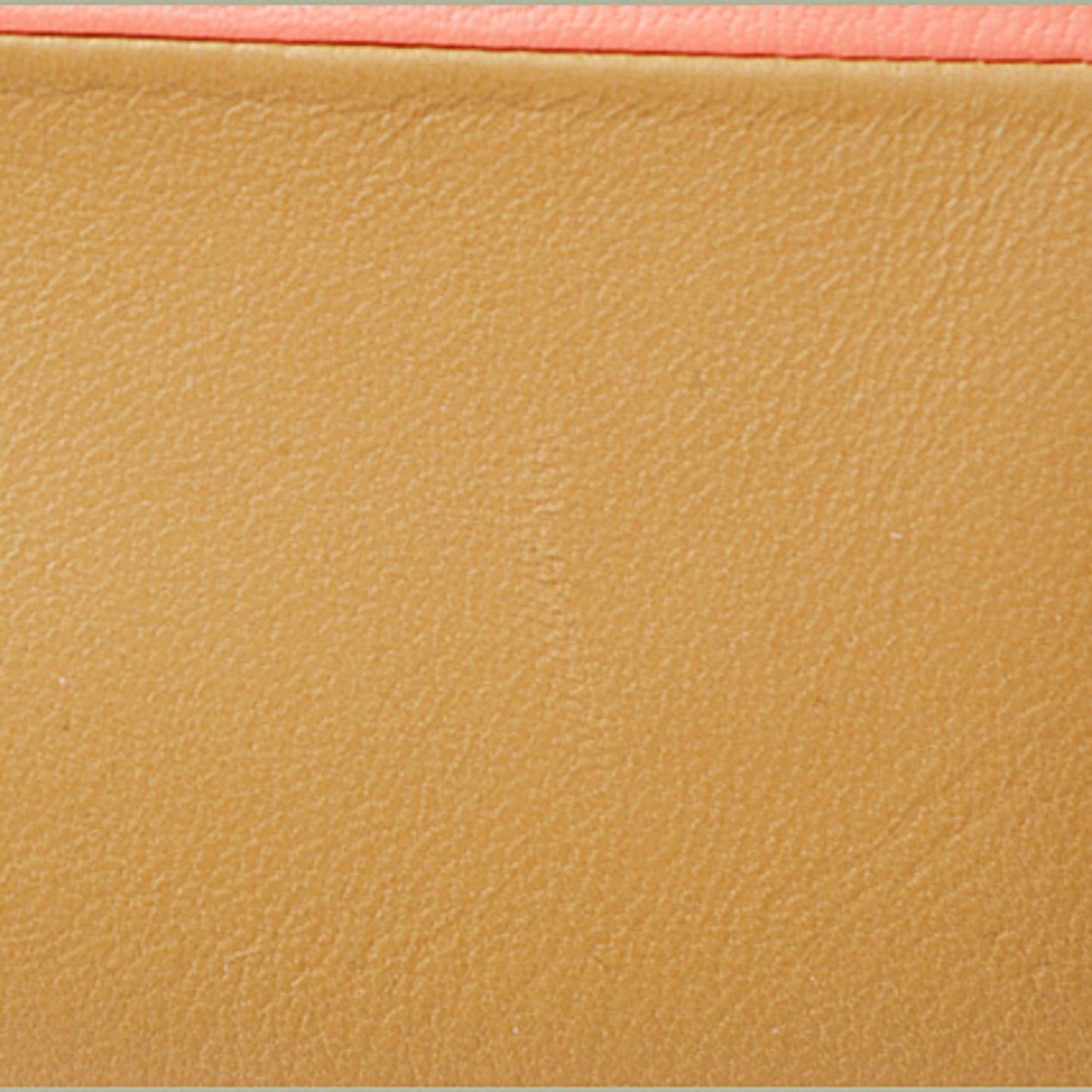 Celine Clutch Pouch Bag iPad Case Celine Bicolor Flamingo Camel 100093HTM.25FC