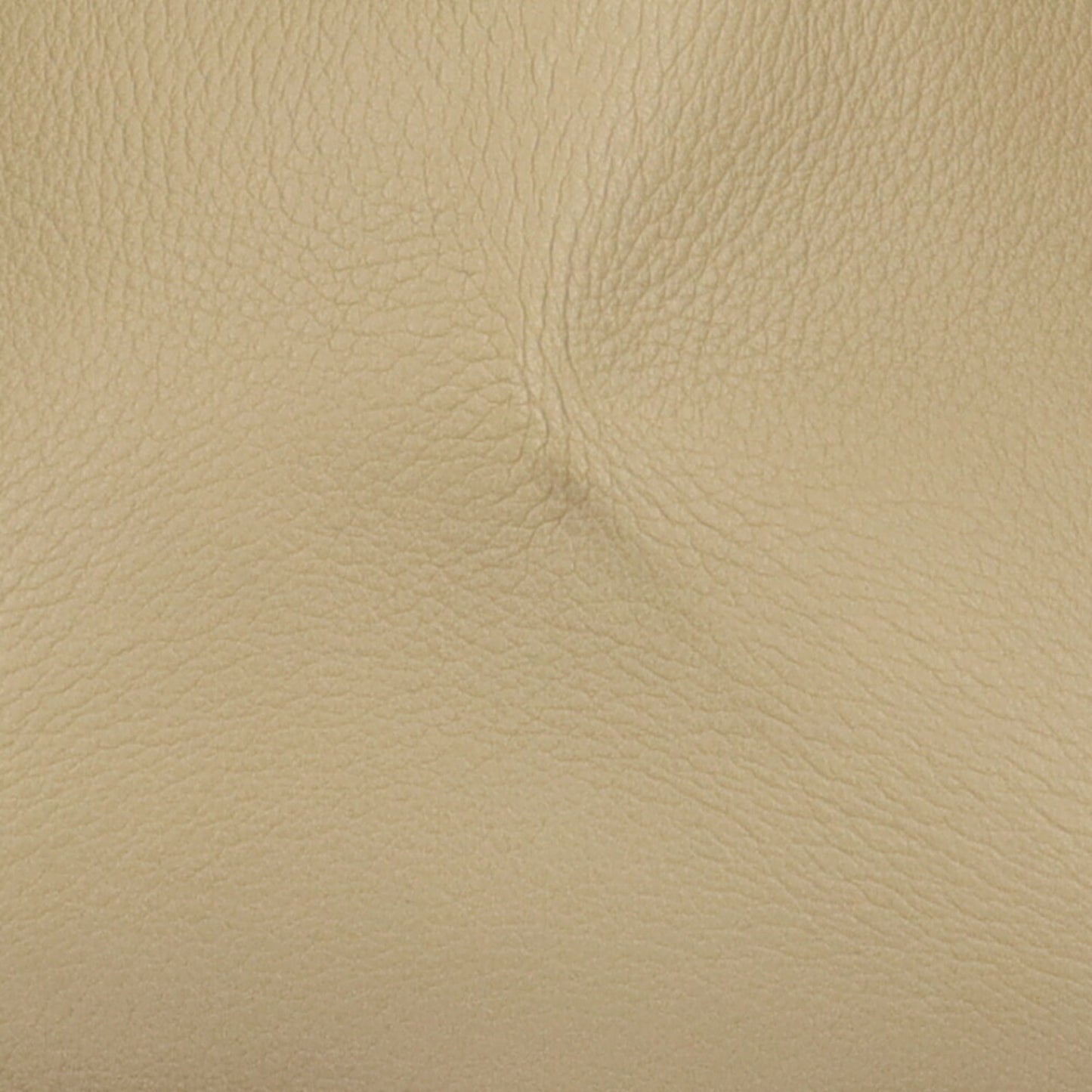 Celine Luggage Phantom Handbag Leather Beige Ladies