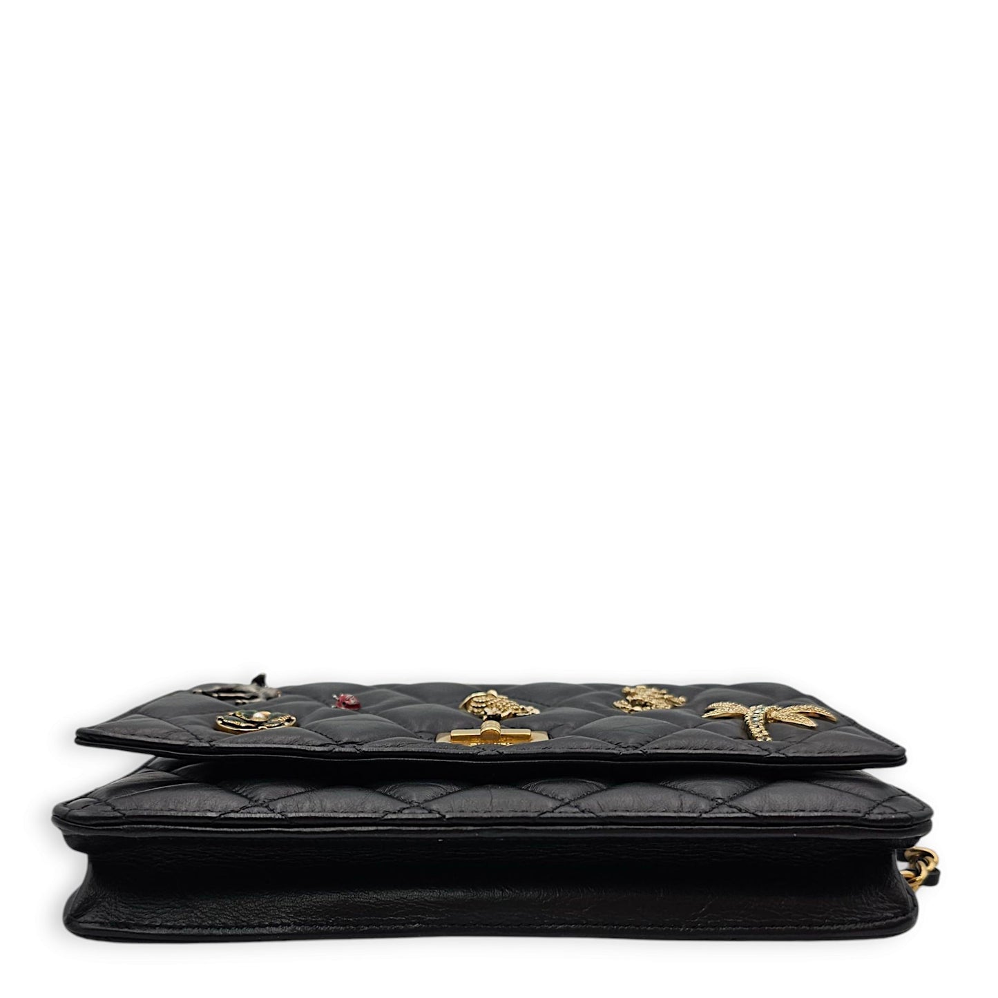 Lucky Symbols Reissue Wallet On Chain Others Black Crossbody Bag in Distressed Leather, 2-Tone hardware