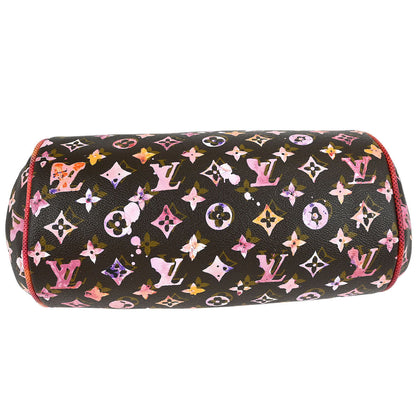 Louis Vuitton * 2008 Monogram Watercolor Papillon Frame M95730