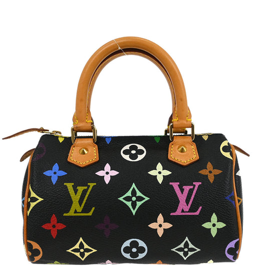 Louis Vuitton Multicolor Mini Speedy Handbag M92644